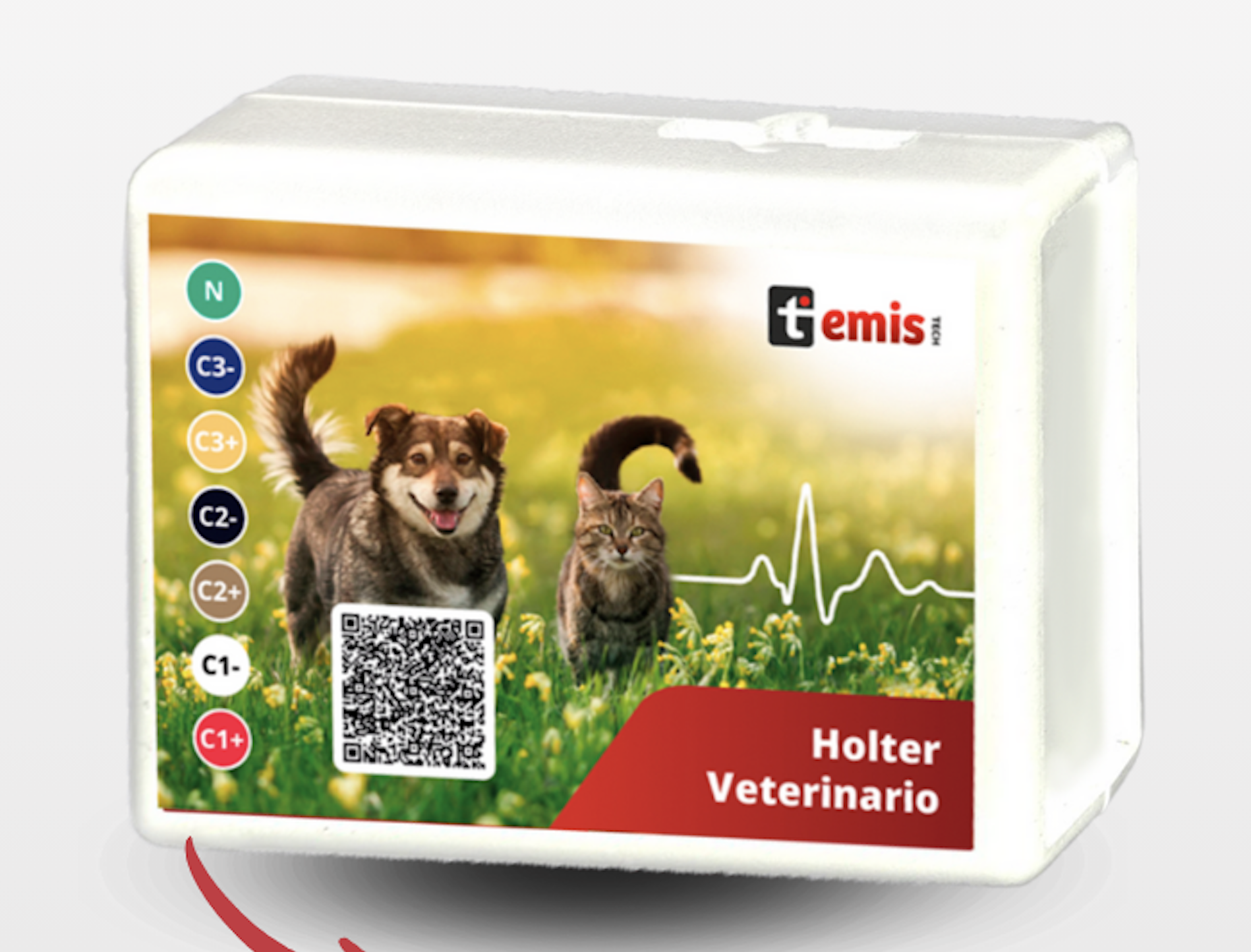 Holter TM700